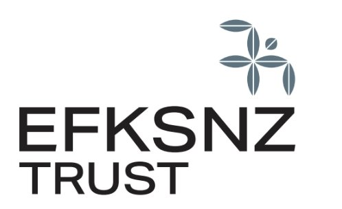 tempFileForShare_20250723-130826